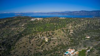 Αγροτεμάχια 8.000 τ.μ. για πώληση, Αργολίδα, Κρανίδι-thumb-10