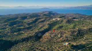 Αγροτεμάχια 8.000 τ.μ. για πώληση, Αργολίδα, Κρανίδι-thumb-3