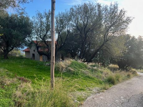 Land plot 124sqm for sale-Kefalonia » Eleioi-Pronoi