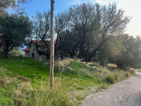 Οικόπεδο 124 τ.μ. για πώληση, Ν. Κεφαλονιάς, Κεφαλονιά