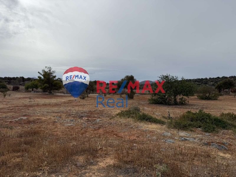 Οικόπεδο 15.560 τ.μ. προς πώληση, Κέντρο Χερσονήσου