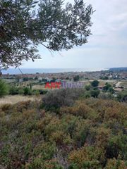 Οικόπεδο 2.233 τ.μ. για πώληση, Χαλκιδική, Σιθωνία-thumb-8