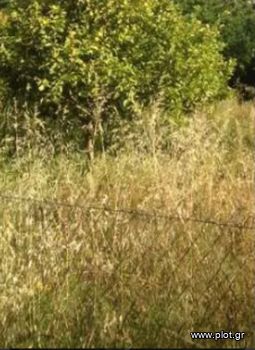 Οικόπεδο 426τ.μ. για πώληση-Παλαιό φάληρο » Εδέμ