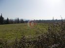 Αγροτεμάχια 11.000τ.μ. για πώληση-Απόστολος παύλος » Νέα νικομήδεια