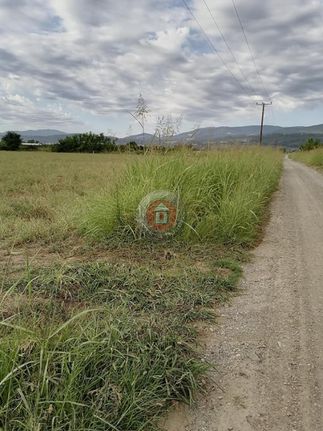 Αγροτεμάχια 12.400 τ.μ. για πώληση, Ημαθία, Βέροια