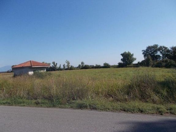 Αγροτεμάχια 20.000 τ.μ. για πώληση, Ημαθία, Απόστολος Παύλος