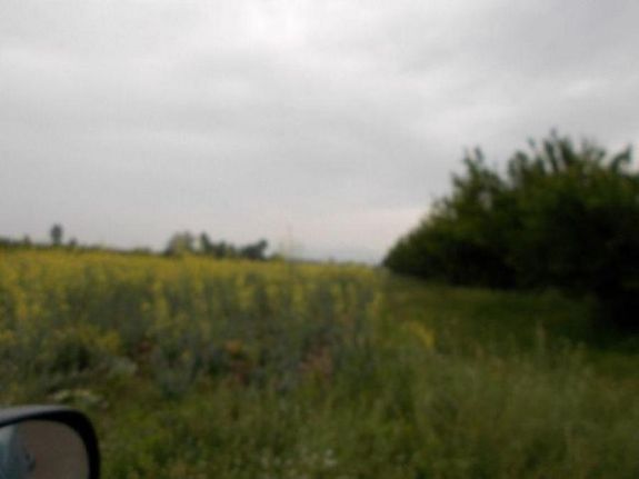Αγροτεμάχια 40.000 τ.μ. για πώληση, Ημαθία, Ειρηνούπολη