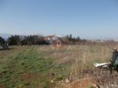 Αγροτεμάχια 3.300τ.μ. για πώληση-Αντιγονίδες » Κέντρο