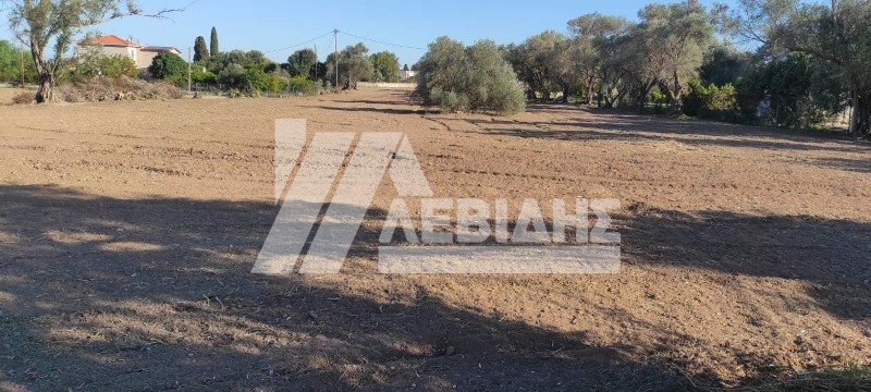 Οικόπεδο 4.677 τ.μ. προς πώληση, Άγιος Μηνάς Χίου