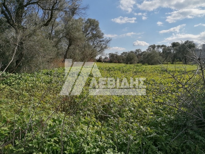 Οικόπεδο 4.677 τ.μ. προς πώληση, Άγιος Μηνάς Χίου