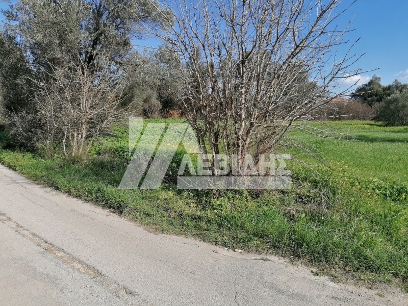 Οικόπεδο 4.677 τ.μ. προς πώληση, Άγιος Μηνάς Χίου