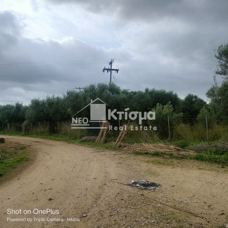 Οικόπεδο 10.637 τ.μ. προς πώληση, Άγιος Ηλίας Πύργου