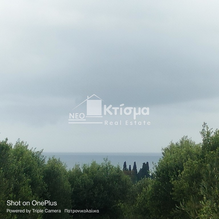 Οικόπεδο 10.637 τ.μ. προς πώληση, Άγιος Ηλίας Πύργου