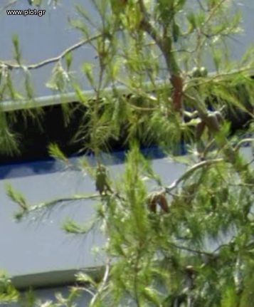 Μονοκατοικία 150 τ.μ. για ενοικίαση, Αθήνα - Νότια Προάστια, Γλυφάδα