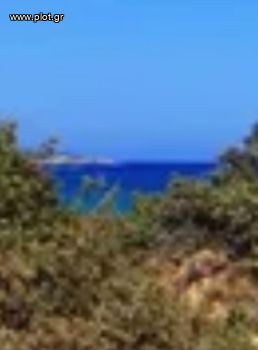 Οικόπεδο 50.000 τ.μ. για πώληση