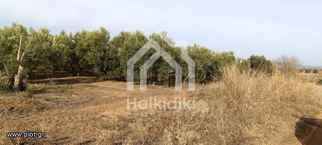 Αγροτεμάχια 4.000τ.μ. για πώληση-Τριγλία » Νέα τρίγλια