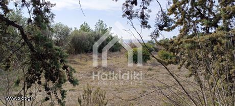 Αγροτεμάχια 9.000τ.μ. για πώληση-Τριγλία » Νέα τρίγλια