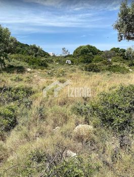 Land plot 4.128sqm for sale-Elatio