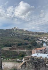 Αγροτεμάχια 5.500 τ.μ. για πώληση