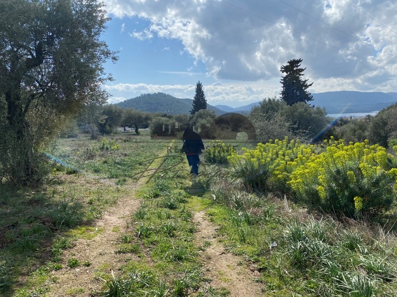 Αγροτεμάχια 7.773 τ.μ. πρός πώληση, Μαγνησία, Πορταριά