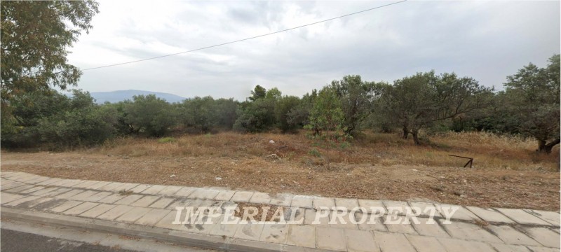 Land plot 1.600 sqm for rent, Rest Of Attica, Markopoulo