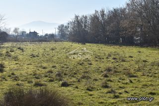 Αγροτεμάχια 4.600 τ.μ. για πώληση, Ν. Ιωαννίνων, Ιωάννινα-thumb-4