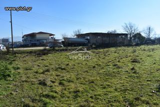 Αγροτεμάχια 4.600 τ.μ. για πώληση, Ν. Ιωαννίνων, Ιωάννινα-thumb-5