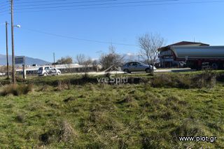 Αγροτεμάχια 4.600 τ.μ. για πώληση, Ν. Ιωαννίνων, Ιωάννινα-thumb-12