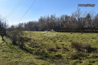 Αγροτεμάχια 4.600 τ.μ. για πώληση, Ν. Ιωαννίνων, Ιωάννινα-thumb-18
