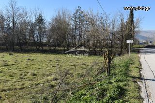 Αγροτεμάχια 4.600 τ.μ. για πώληση, Ν. Ιωαννίνων, Ιωάννινα-thumb-21
