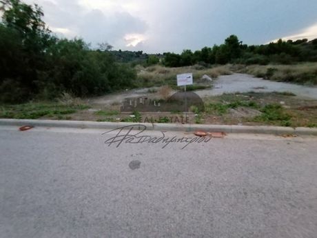 Οικόπεδο 347τ.μ. για πώληση-Βόλος » Νέες παγάσες
