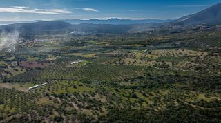 Αγροτεμάχια 26.000 τ.μ. για πώληση, Αργολίδα, Ερμιόνη-thumb-6