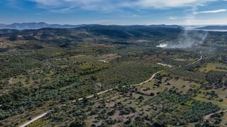 Αγροτεμάχια 26.000 τ.μ. για πώληση, Αργολίδα, Ερμιόνη-thumb-9