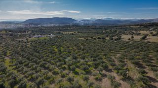 Αγροτεμάχια 26.000 τ.μ. για πώληση, Αργολίδα, Ερμιόνη-thumb-12