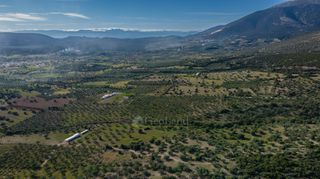 Αγροτεμάχια 26.000 τ.μ. για πώληση, Αργολίδα, Ερμιόνη-thumb-2