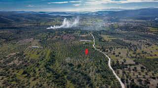 Αγροτεμάχια 26.000 τ.μ. για πώληση, Αργολίδα, Ερμιόνη-thumb-3