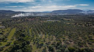 Αγροτεμάχια 26.000 τ.μ. για πώληση, Αργολίδα, Ερμιόνη-thumb-5