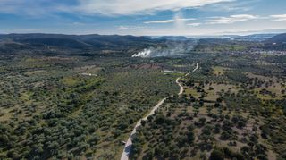 Αγροτεμάχια 26.000 τ.μ. για πώληση, Αργολίδα, Ερμιόνη-thumb-10
