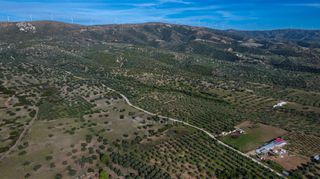 Αγροτεμάχια 26.000 τ.μ. για πώληση, Αργολίδα, Ερμιόνη-thumb-8
