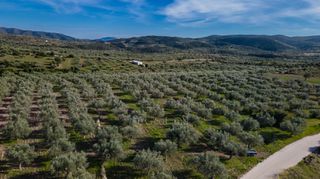 Αγροτεμάχια 26.000 τ.μ. για πώληση, Αργολίδα, Ερμιόνη-thumb-1