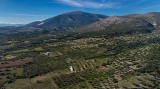 Αγροτεμάχια 26.000 τ.μ. για πώληση, Αργολίδα, Ερμιόνη-thumb-4