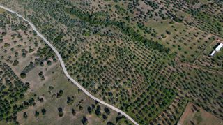 Αγροτεμάχια 26.000 τ.μ. για πώληση, Αργολίδα, Ερμιόνη-thumb-13
