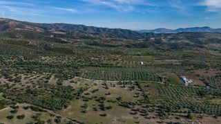 Αγροτεμάχια 26.000 τ.μ. για πώληση, Αργολίδα, Ερμιόνη-thumb-11