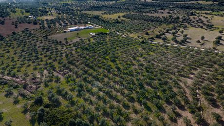 Parcel 26.000sqm for sale-Ermioni » Iliokastro