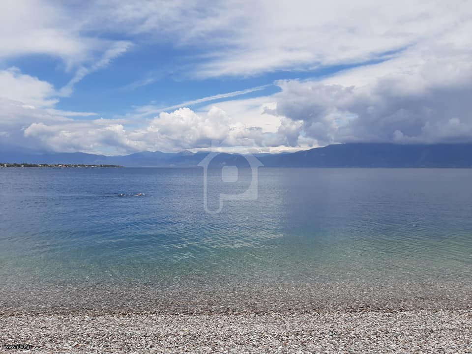 Οικόπεδο 5.650 τ.μ. προς πώληση, Διγελιώτικα