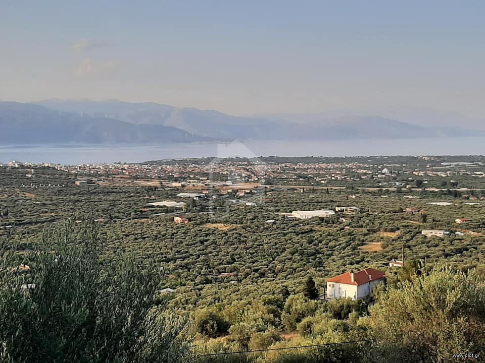 Οικόπεδο 5.650 τ.μ. προς πώληση, Διγελιώτικα