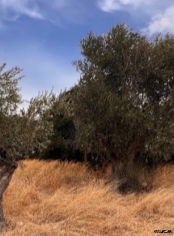 Οικόπεδο 13.500 τ.μ. προς πώληση, Κλειδώ