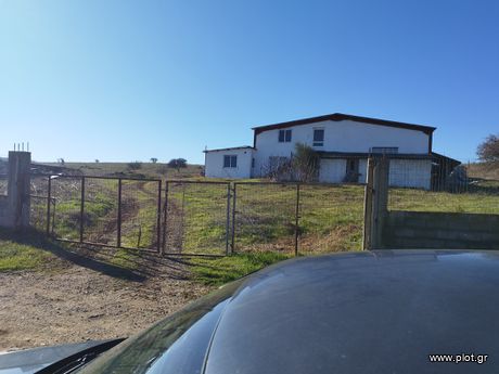 Commercial 450 sqm for sale