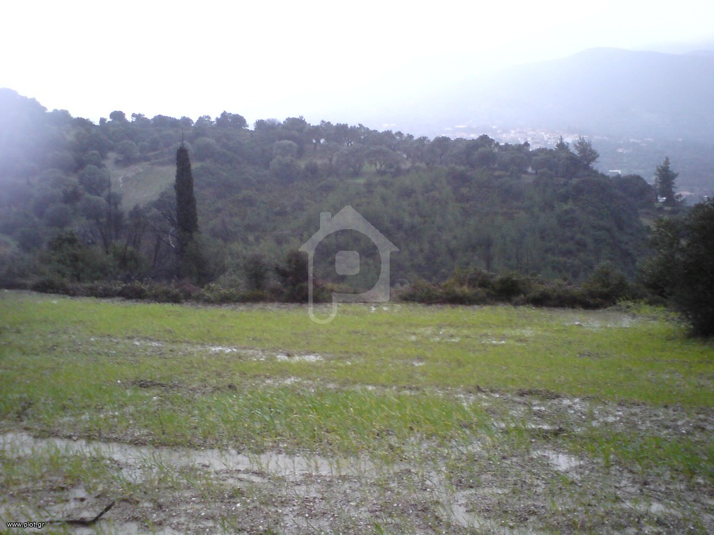 Αγροτεμάχια 7.500 τ.μ. προς πώληση, Άνω Κουρούνι