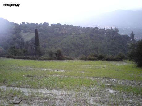 Αγροτεμάχια 7.500 τ.μ. προς πώληση